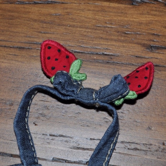 GYMBOREE Girl's Burst of Spring Chambray Dress 2T - Picture 4 of 8